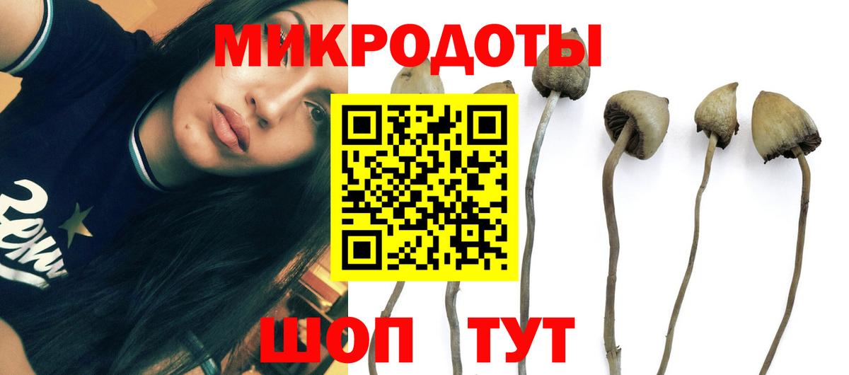 Псилоцибиновые грибы мухоморы Каспийск